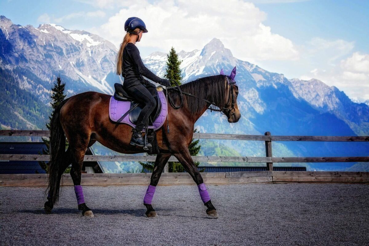 Ferie zimowe w górach czy w siodle