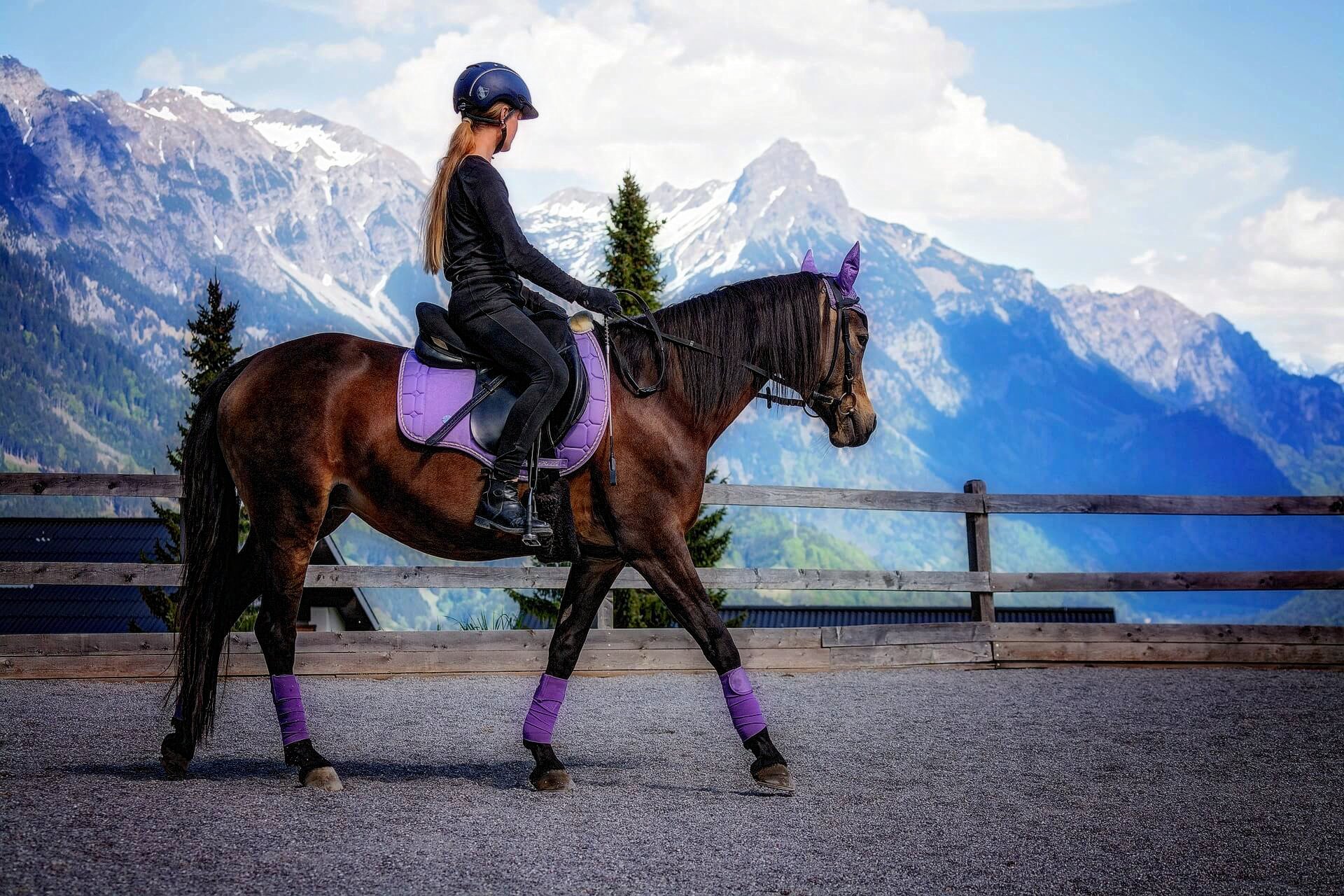 Ferie zimowe w górach czy w siodle